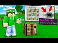 HO CRAFTATO LE STRUTTURE DI MINECRAFT PER FINIRE IL GIOCO!
