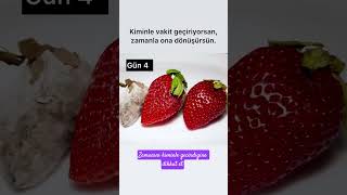 Zamanını Boşa Harcama