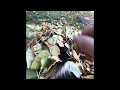 Odd mixture of pets 