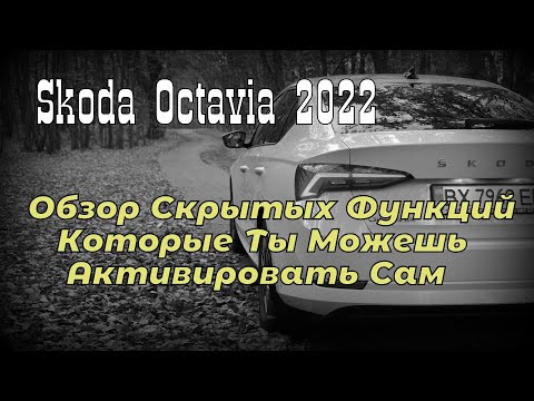 Skoda: Скрытые Функции Почти Бесплатно 😉 (2022)