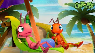 🏝️Sea Ants🏝️ | ANTIKS |Funny Cartoons For All The Family!
