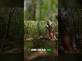 Tree Won't Fall? Watch the Emergency Extraction #chainsaw #arborist #shorts