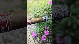 #shorts #tobacco #cigars #usa #arturofuente #habanos #doncarlos #leaf #cigarlife #cuba #handmade