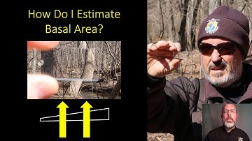Estimating Basal Area of the Riparian Zone using a Cruise Prism