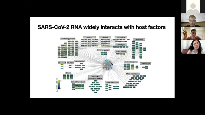 [Ryan Flynn] Discovery and functional interrogatio...
