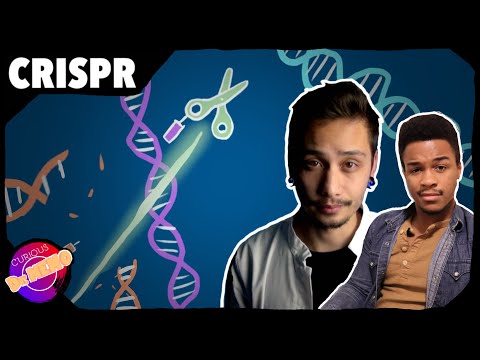 These Scissors Can Cut DNA (CRISPR/Cas9) | feat. Curious Tangents