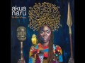 Capture de la vidéo Akua Naru - Falling