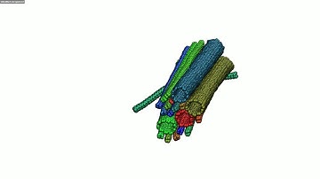 Aggregation of Single Wall Carbon nano tube,  SWCNT at 300K : Molecular Dynamics Simulations