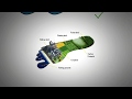 Measuring Our Impact Through Ecological And Carbon Footprints