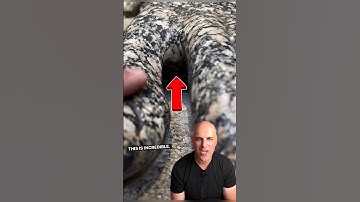 This is MINDBLOWING