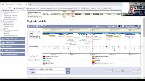 How to Search for Neighboring Genes on Ensembl