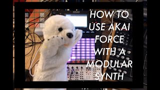 HOW TO USE THE AKAI FORCE WITH A MODULAR SYNTH