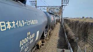 [現役最古参のEF65PF] 3月7日三郷駅 新鶴見A903運用 8685レ EF65 2057