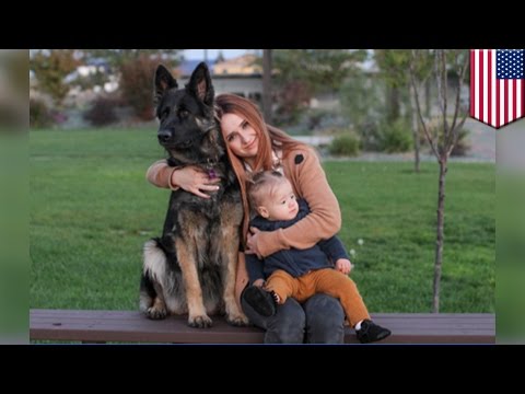 วีดีโอ: ขอบคุณพระเจ้าง่าย ๆ สำหรับสุนัขของคุณ