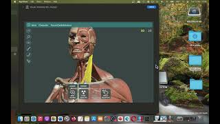 Visual Anatomy 3D Human Mac App Store (Basic Overview) screenshot 5