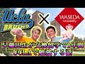 早稲田生が1年間UCLAへ : UCLA生 X 早稲田生 交換留学独占インタビュー
