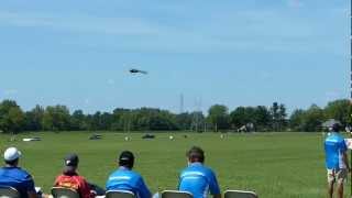 Bert Kammerer Flying the Blade 500X.MP4