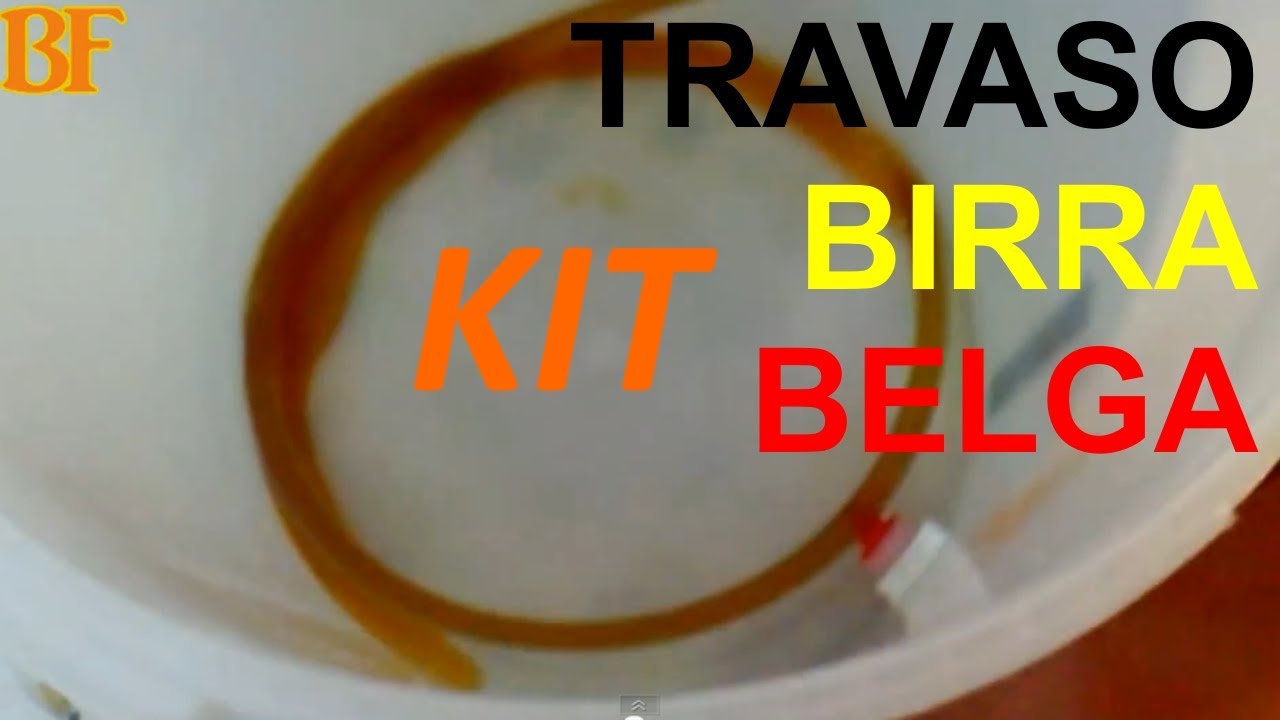 Kit Brewferm Per Birra Stagione Belga - Set Completo Per Home Brewing - Foto 11