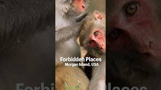 Here's Why You Can’t Visit This U.S. Island 🏝️