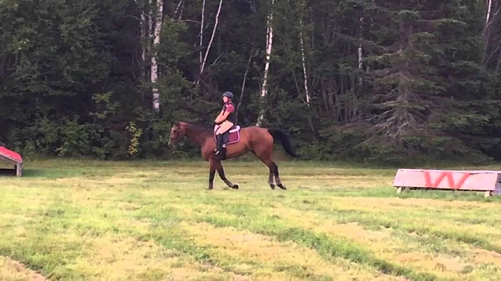 Thomas Ingalls XC aug 6 2015 PT brush