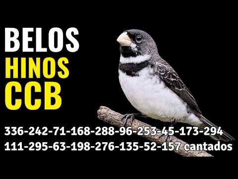 HINOS CCB 336-242-71-168-288-96-253-45-173-294-111-295-63-198-276-135-52-157-268-230 cantados