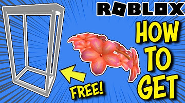 [EVENT] How To Get Silver Block & Roblox Learn Plumera Crown in The Roblox Learn Experience