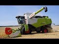 Уборка пшеницы на поле. Claas medion 310, Дон 1500