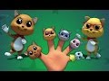 Gattino dito Famiglia | filastrocca | Preschool Poetry | Finger Family Song | Kitten Finger Family