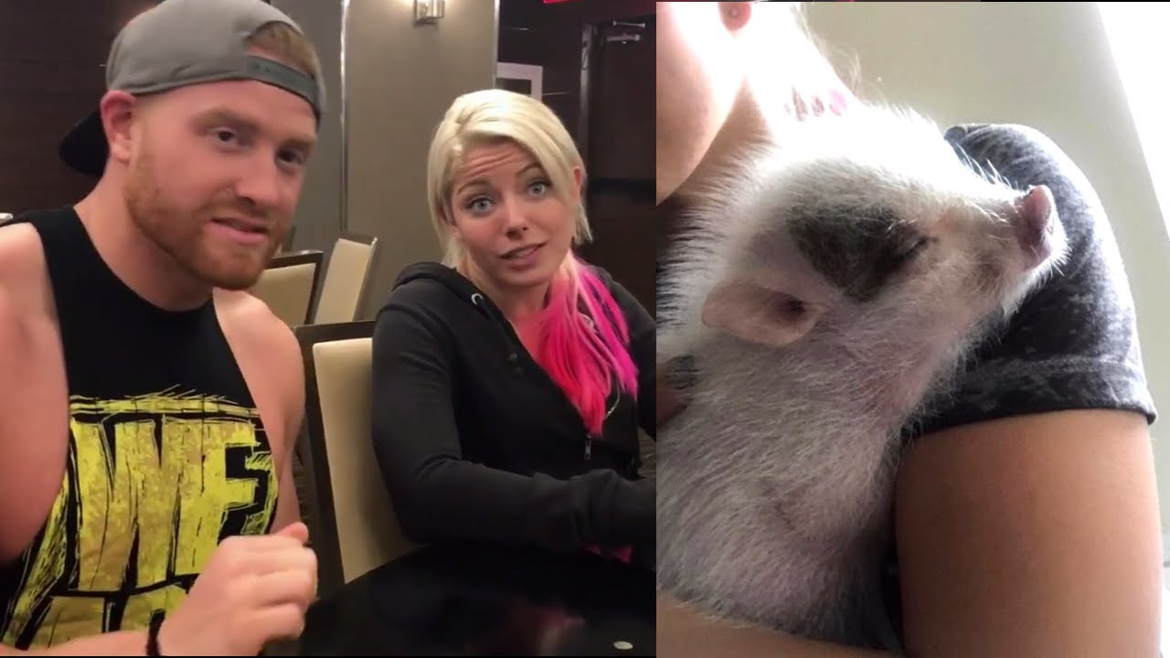 Pet pig!! Alexa Bliss and her fiancé, Buddy Murphy, talk about their pet pig