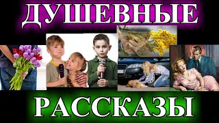 ДУШЕВНЫЕ  РАССКАЗЫ❤️ЗЭКА❤️БЫВШАЯ❤️МНЕ БЕЗ ТЕБЯ ТАК ОДИНОКО❤️Я И ЕЩЁ РАЗ Я❤️ТЮЛЬПАНЫ#TEFI РАССКАЗЫ