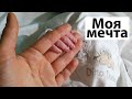 Добро пожаловать, Мой космос. Марта Сайбель