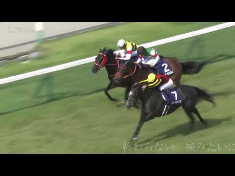【競馬MAD】グロウアップ・シャイン　有馬記念2021有力馬　#shorts