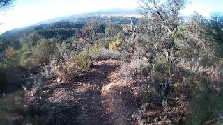 Download Lagu Bassa de porcs DH | PAU DANIEL MP3