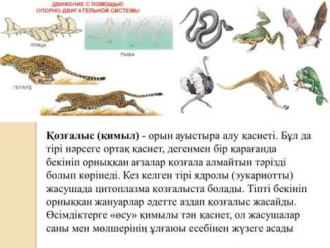 Бейне: Тірі заттардың негізгі қасиеттері қандай?