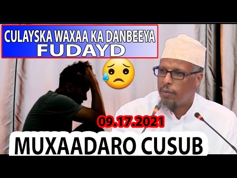 MUXAADARO CUSUB CULAYSKA WAXAA KA DANBEEYA FUDAYD Sh Maxamuud Shibli