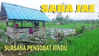 Download Lagu SABA JAE INDAH..SUASANA SAWAH MANDAILING YANG MENYEJUKKAN MP3