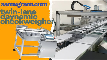 Customized Twin-lane Dynamic Checkweigher|Automatic Checkweighing for Multi-Industry Packaging Lines