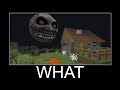 Wait What Minecraft Meme - part 198