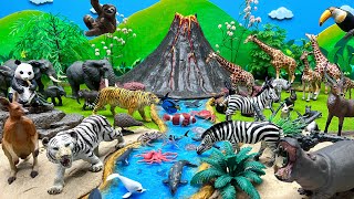 Animals With Volcano Small World | Diorama For Animals