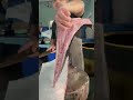 omg new skills fish cutting