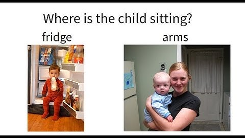 The Visual Question Answering (VQA) v2.0 Dataset