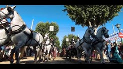 Sevilla - Feria de abril 2017