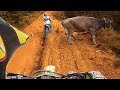 Animals Vs Bikers