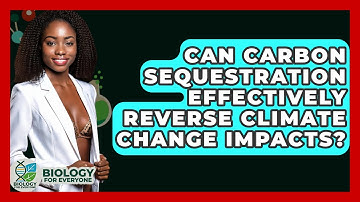 Can Carbon Sequestration Effectively Reverse Climate Change Impacts? - Biology For Everyone