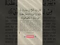 Most Beautiful Dua | Surah Taha Ayat 25-28 Recitations #shorts #short #quranrecitation