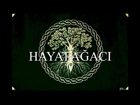 Video: Hayat ağacındaki üç ana dal nedir?