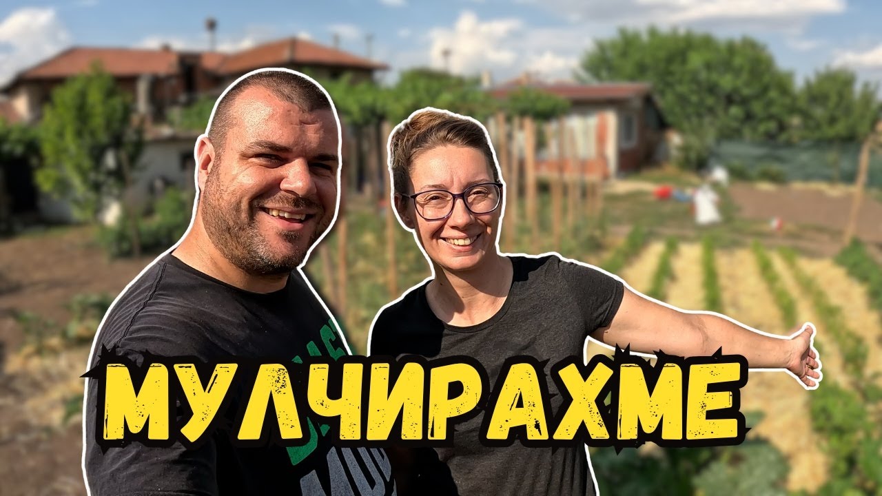 Мулчирахме цялата градина | Милчеви БГ