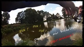 Pêche au leurre de surface (stickbait) [Perche à GOGO !!!]