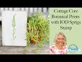 Cottage-core Botanical Prints with IOD Sprigs Stamp - Quick crafting with Connie