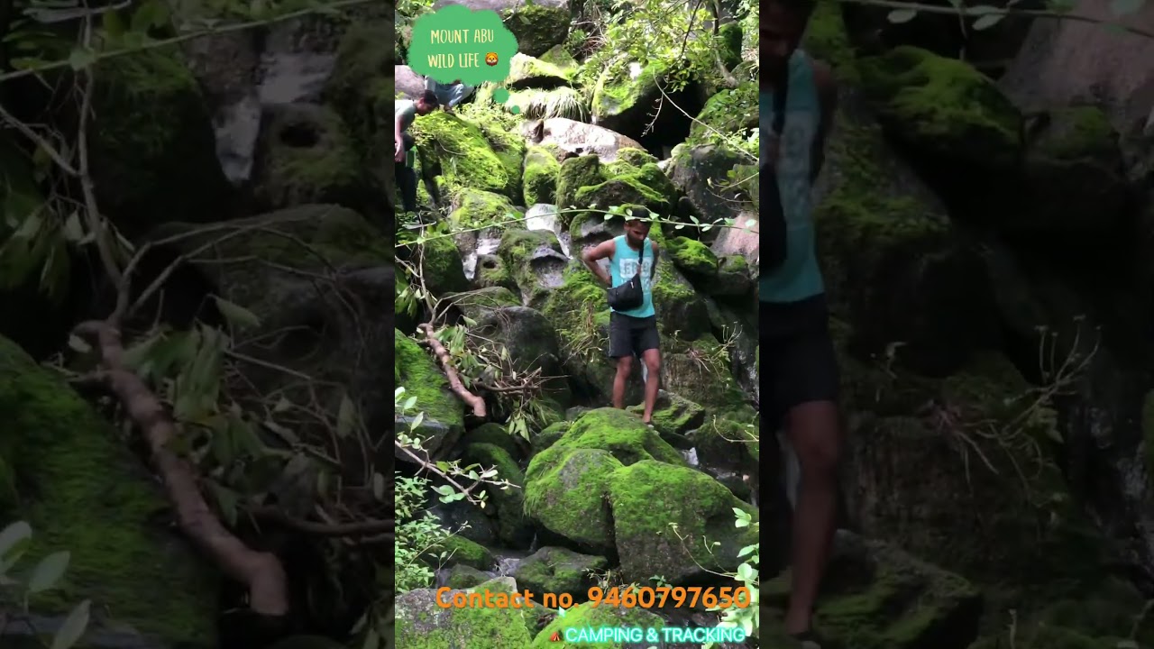 Mount Abu tour and camping 🏕️